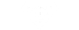 Diamenty Forbesa 2025